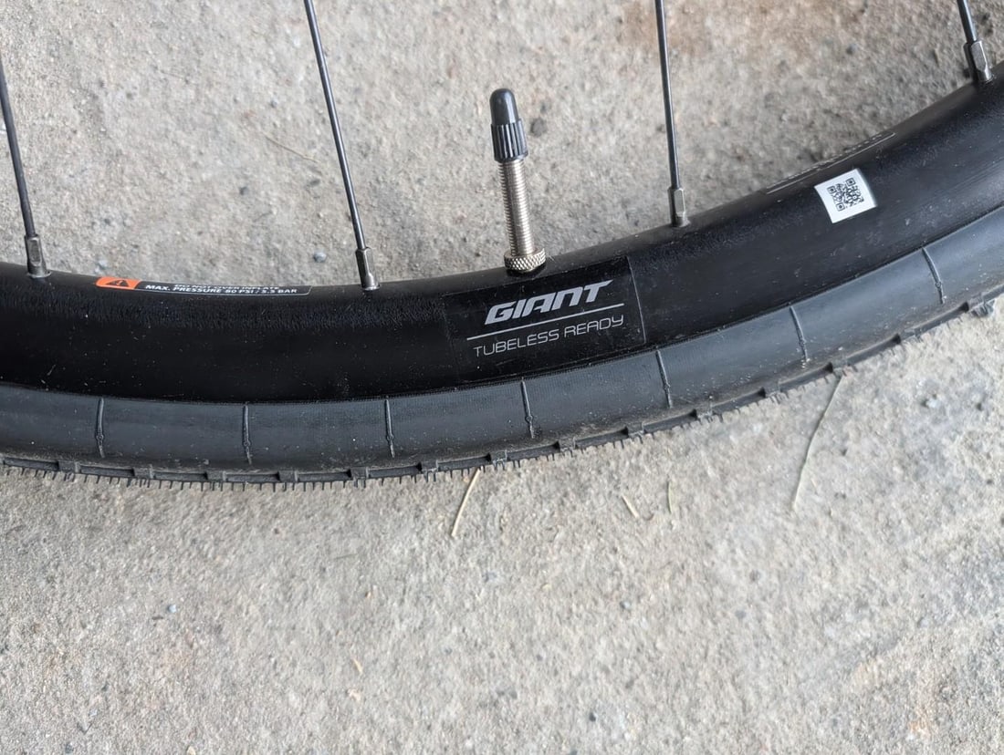 Giant PX2/Origin 8 Wheelset w/ Shimano Cassette - 15