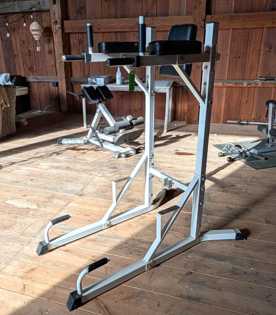 Power Tower W/ Dip Station & Pull Bar - 3