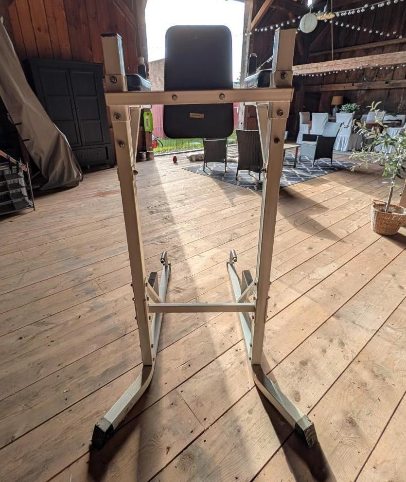 Power Tower W/ Dip Station & Pull Bar - 8