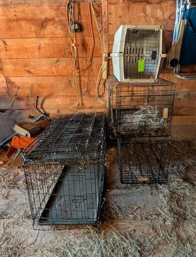 (5) Small Animal Crates (1 of 6)