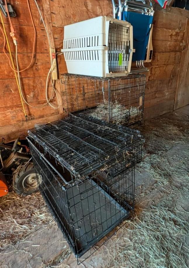 (5) Small Animal Crates - 2