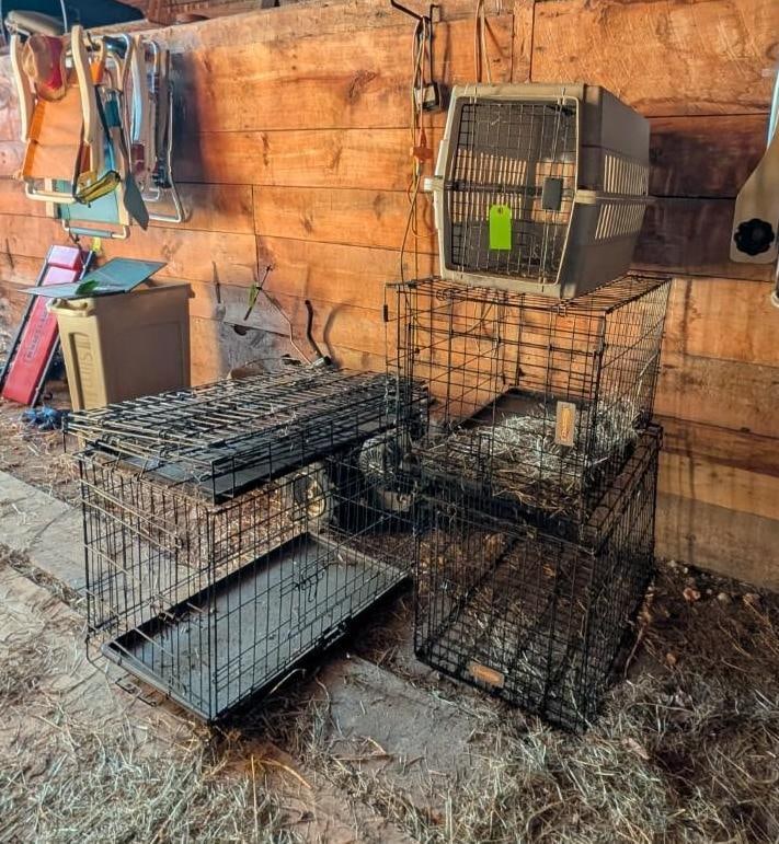 (5) Small Animal Crates - 3