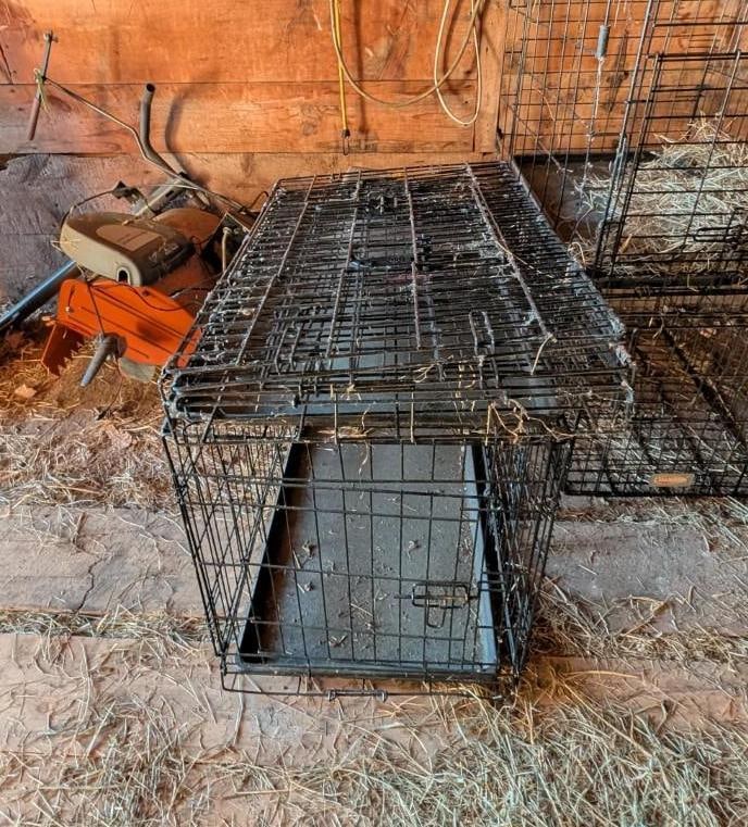 (5) Small Animal Crates - 5