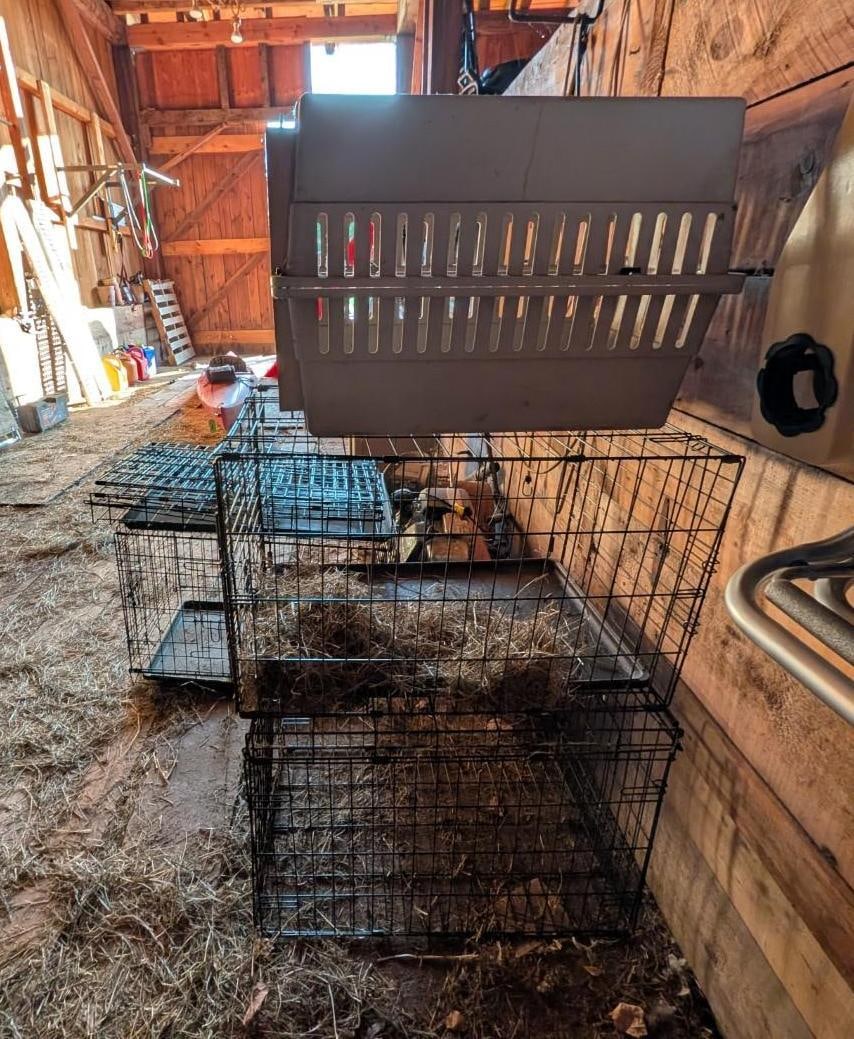 (5) Small Animal Crates - 6