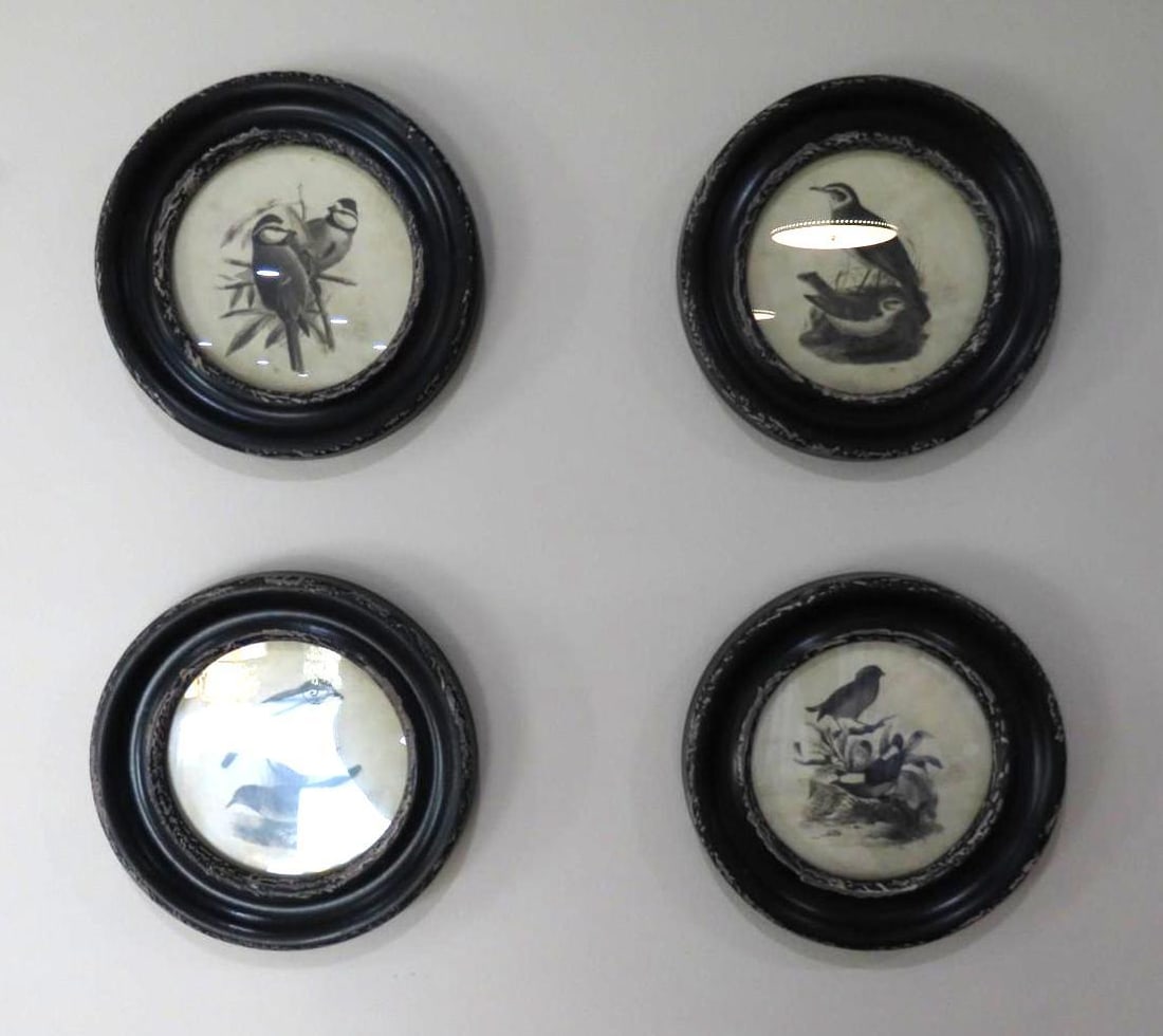 (4) Contemporary Bird Lithographs: 9.5" in diameter framed