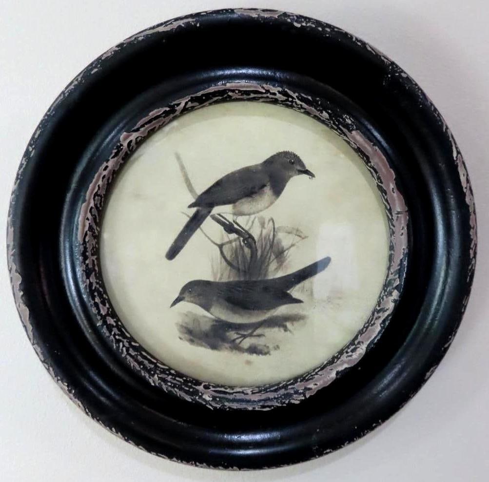 (4) Contemporary Bird Lithographs - 3