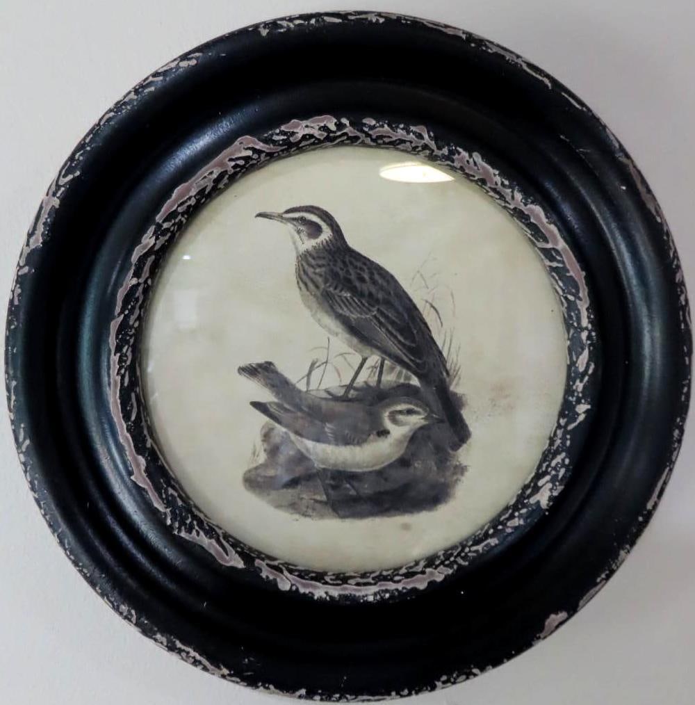 (4) Contemporary Bird Lithographs - 5
