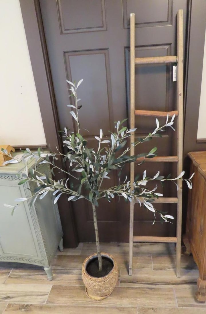 Decorative Wood Ladder & Faux Plant (1 of 3)