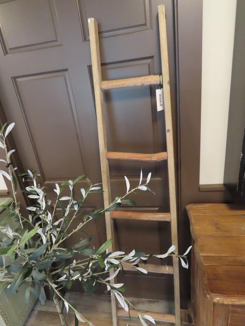 Decorative Wood Ladder & Faux Plant - 2