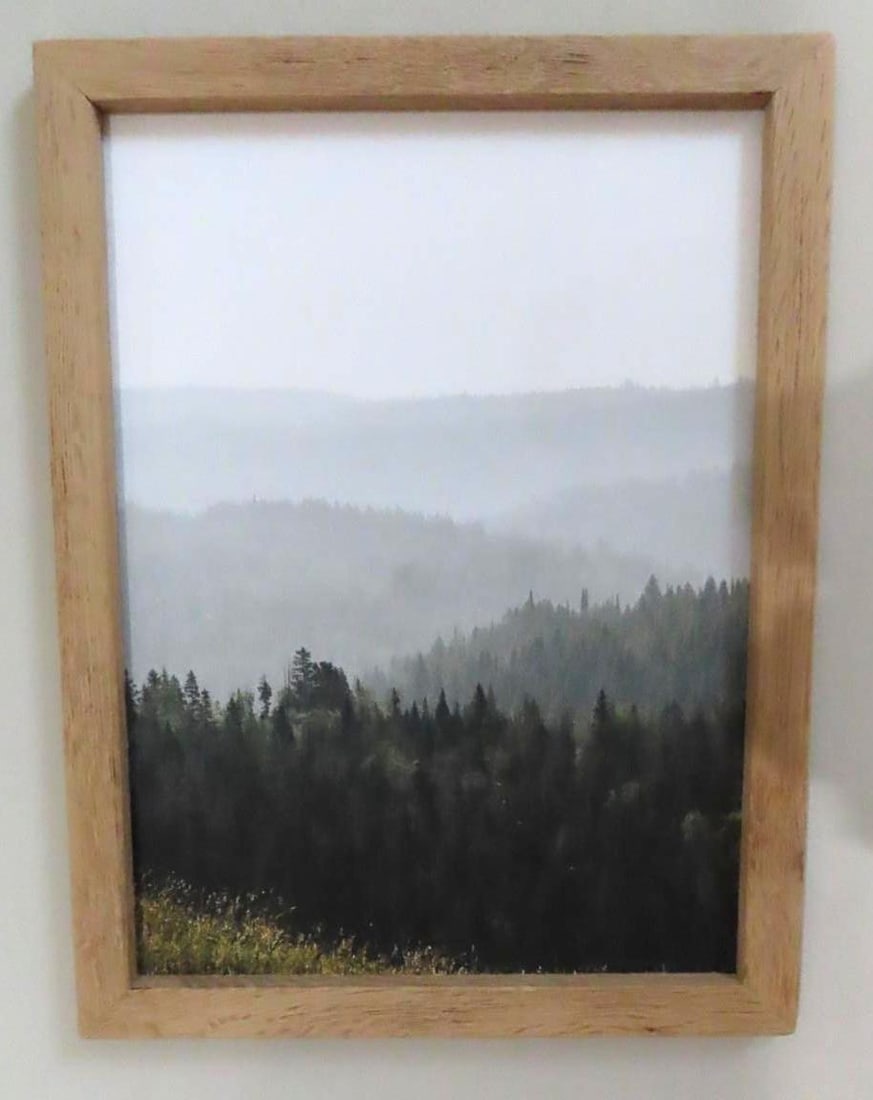 (3) Aimee Weaver Designs Landscape Lithographs (1 of 3)