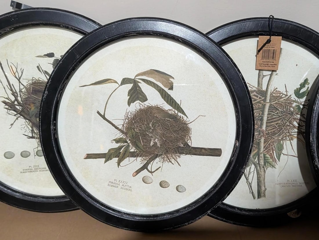 (4) Bird Lithographs - 2