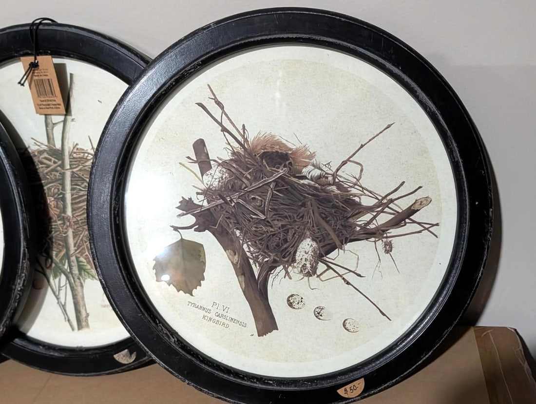(4) Bird Lithographs - 3