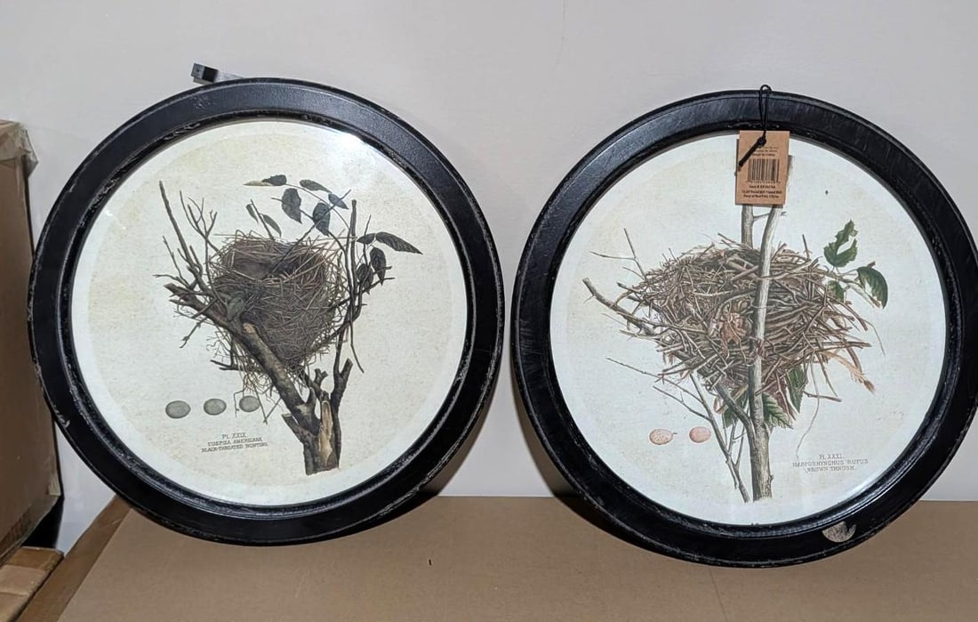 (4) Bird Lithographs - 4