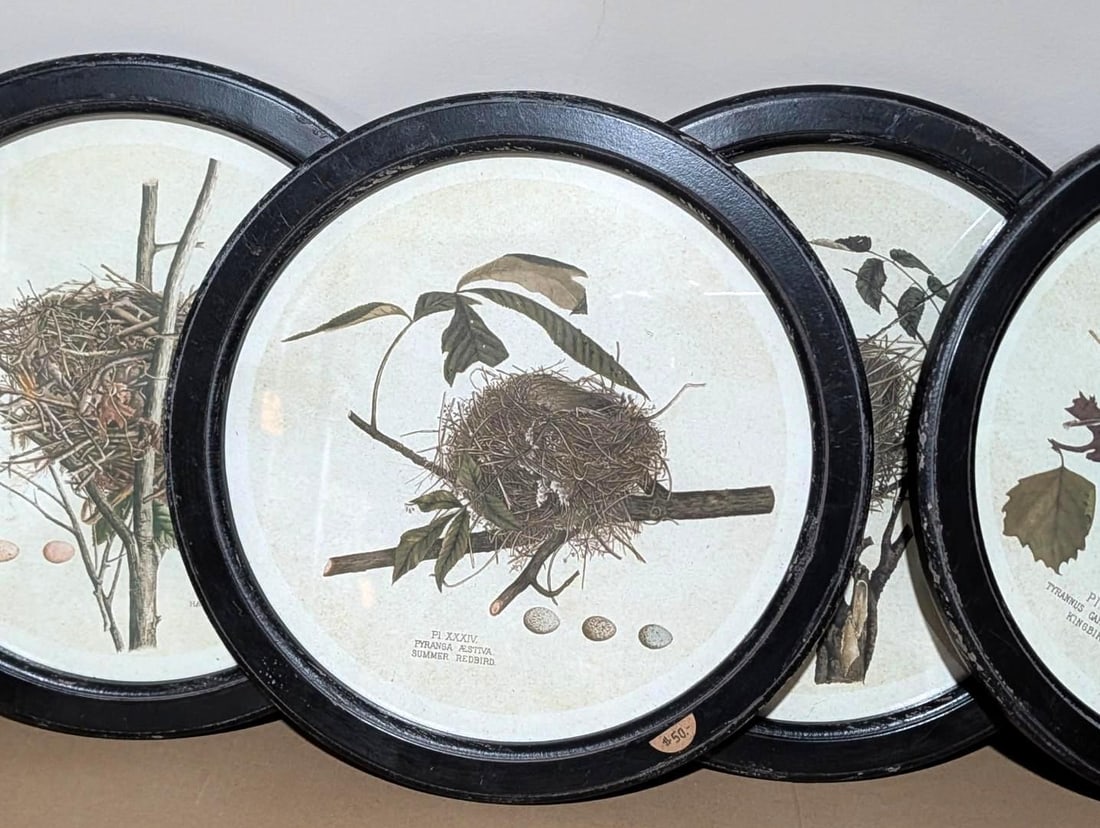 (4) Bird Lithographs - 2