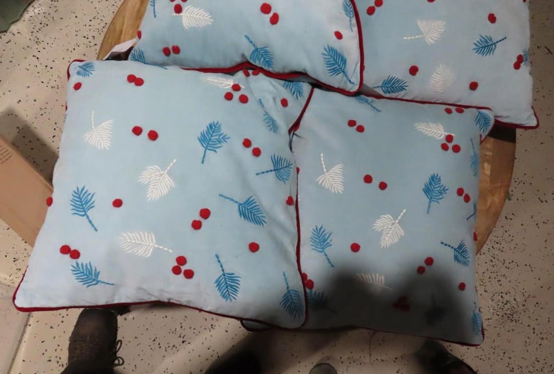 (4) Down Throw Pillows - 2