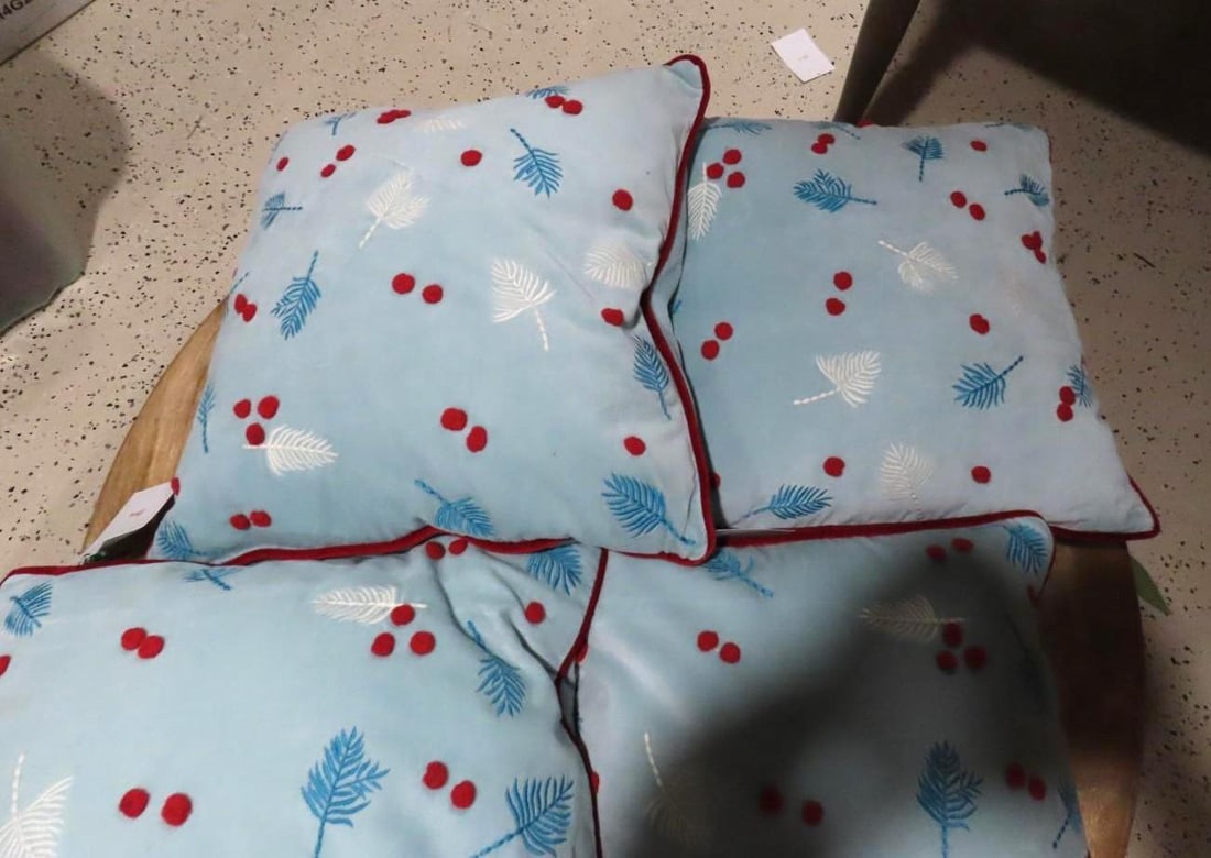 (4) Down Throw Pillows - 3