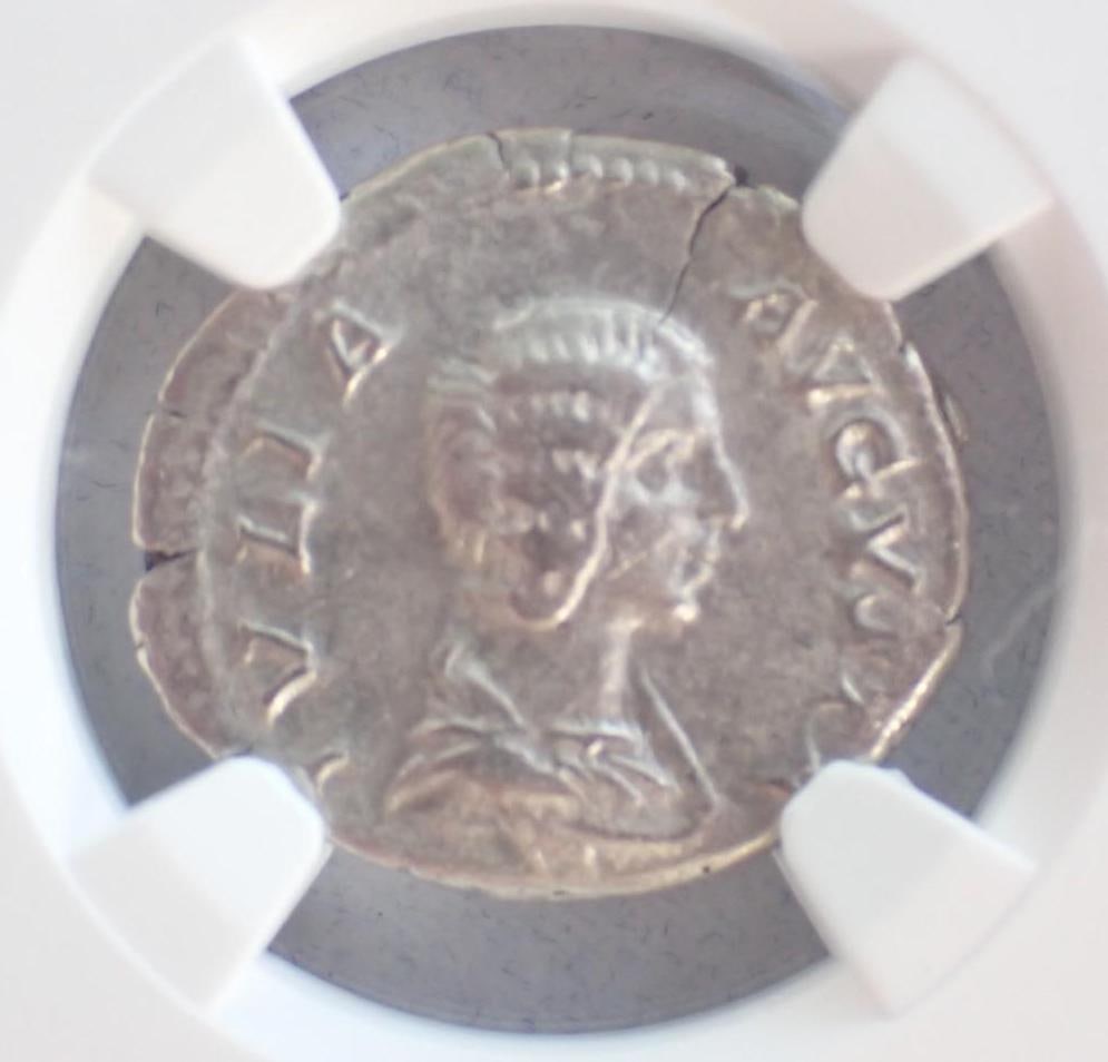 Ancient Coin: Roman Empire Julia Domna (AD 193-217) AR Denarius - 2