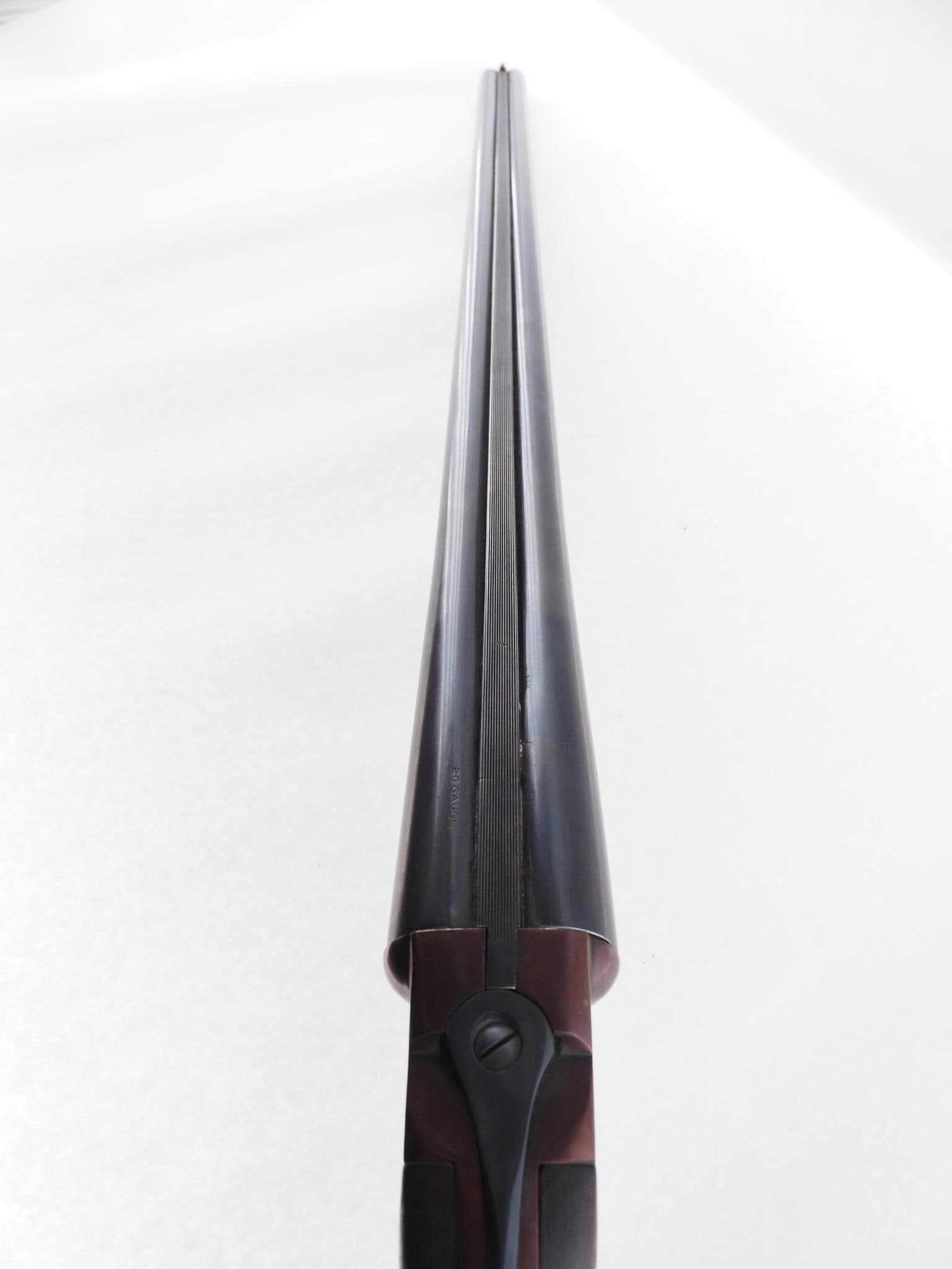 Springfield Side by Side Shotgun - 19