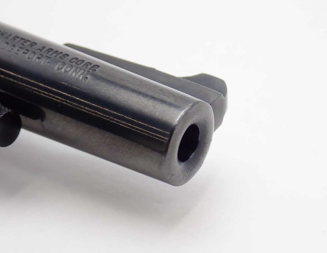 Charter Arms Pathfinder Revolver - 8