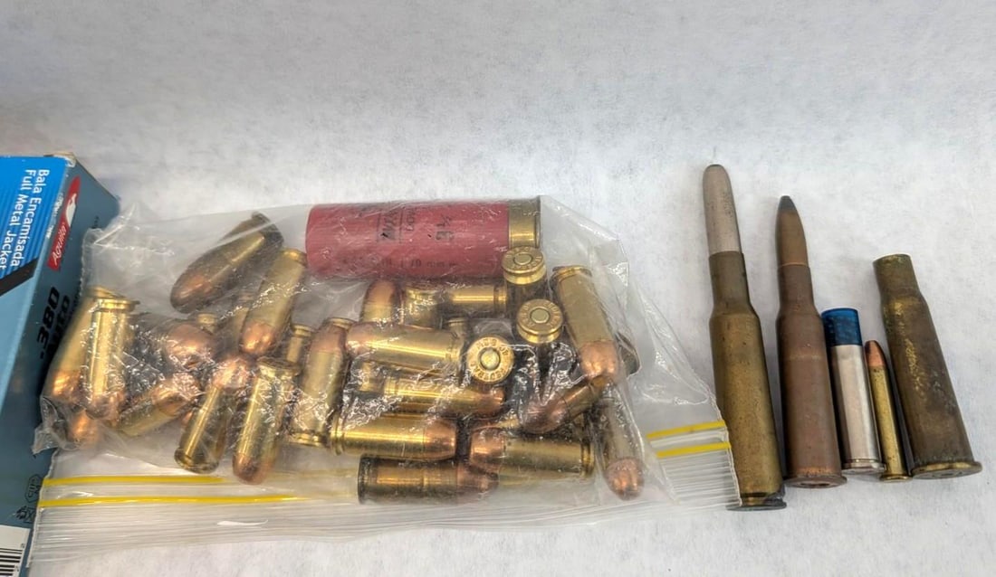 Assorted Ammunition - 7