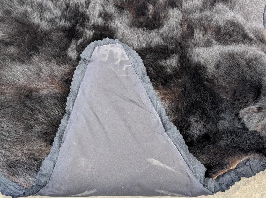 Black Bear Pelt - 20