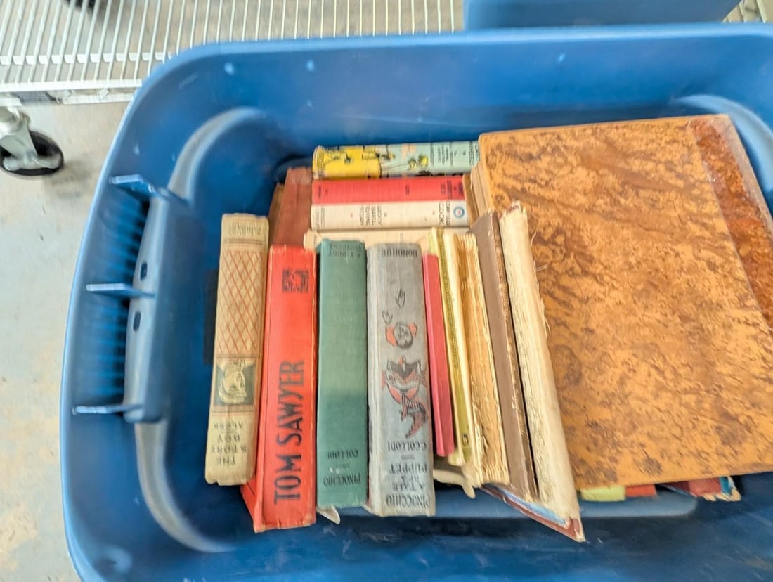 Vintage Fiction & Non-Fiction Story Books - 2