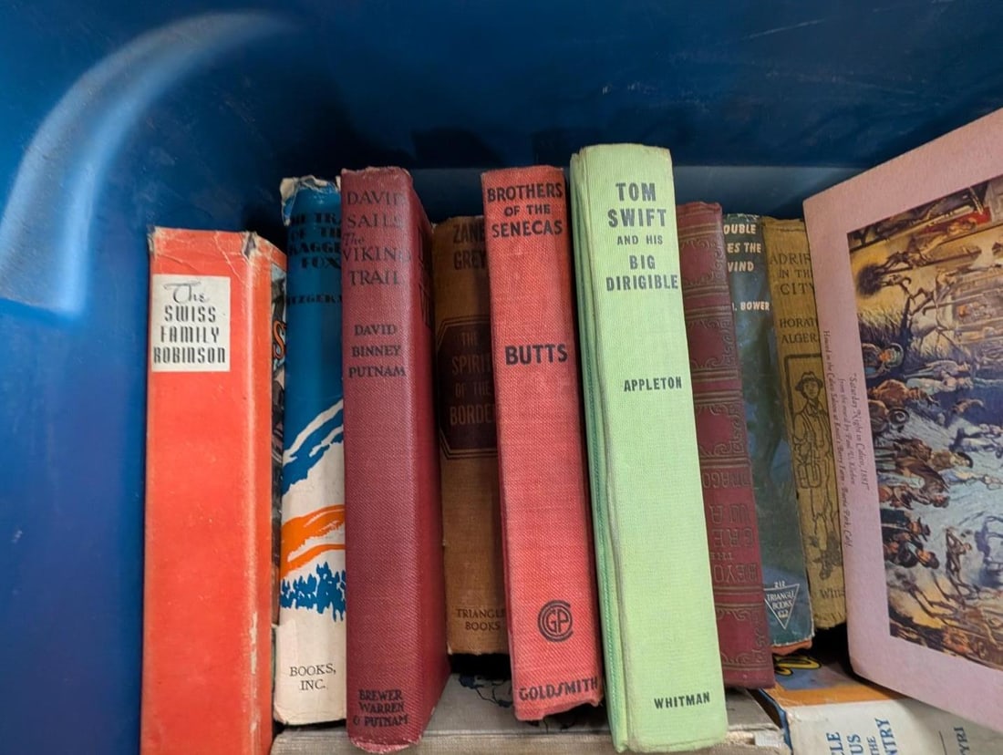Vintage Fiction & Non-Fiction Story Books - 3