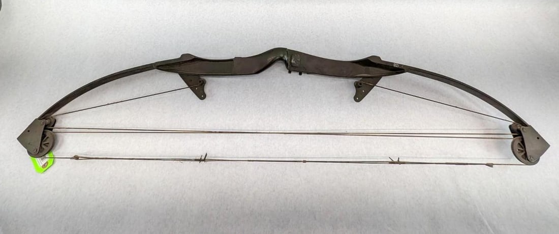 Bear Compound Bow - 4