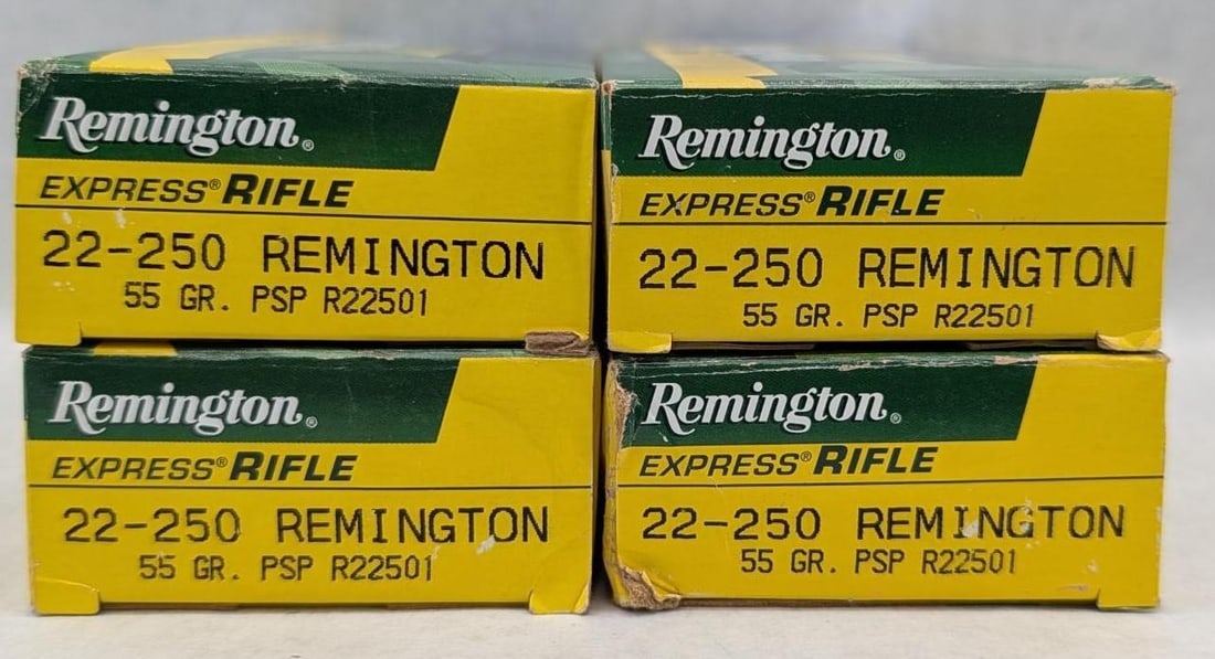 (80) Remington .22-250 Cartridges: (80) Remington .22-250 Cartridges
