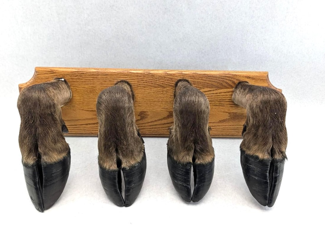 Moose Hoof 4 Place Coat Rack: overall 30"w x 12"d