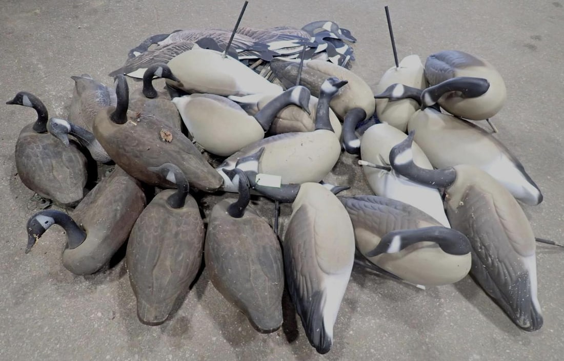 (30+/-) Geese Decoys: (30+/-) Geese Decoys