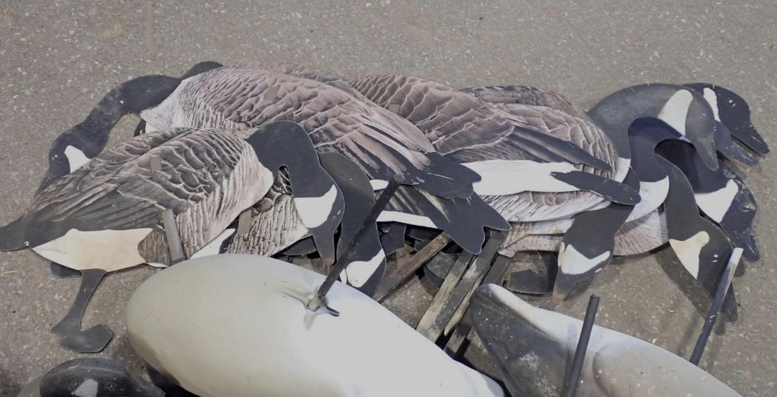(30+/-) Goose Decoys - 2