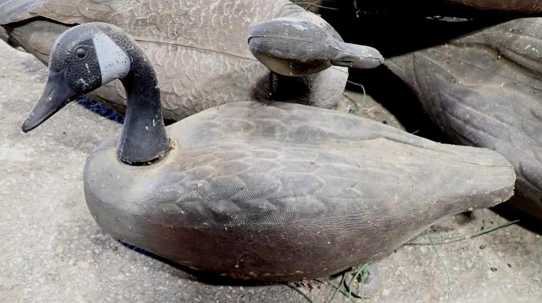 (30+/-) Goose Decoys - 3