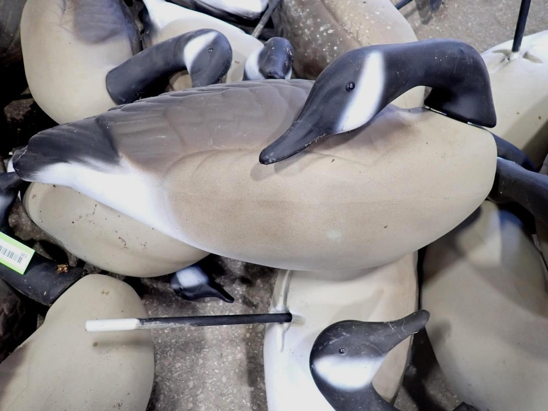 (30+/-) Goose Decoys - 4