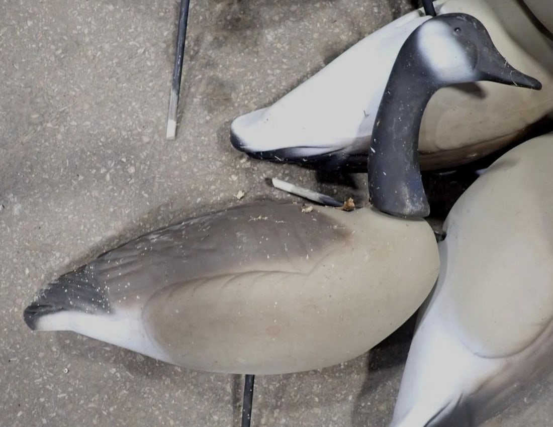 (30+/-) Goose Decoys - 5