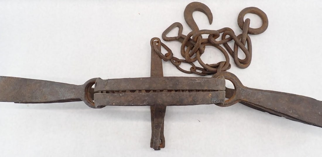 Bear Trap - 2