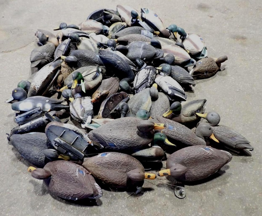 (48+/-) Duck Decoys (1 of 5)