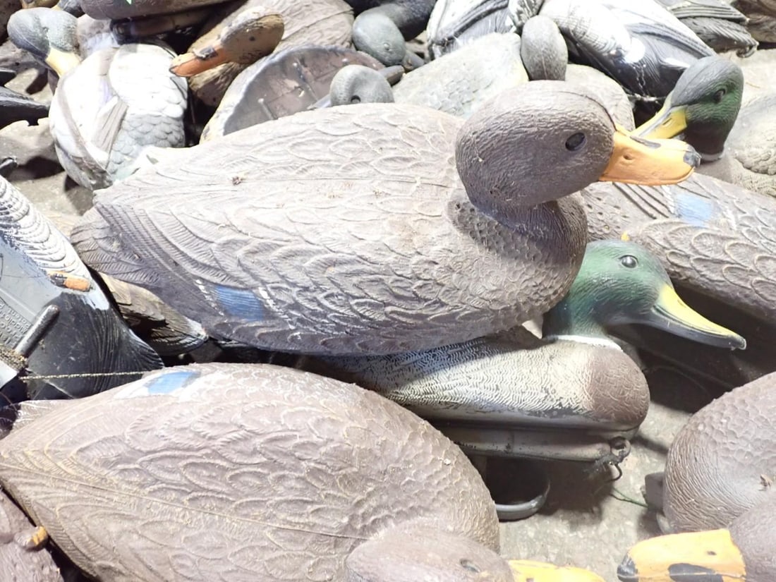 (48+/-) Duck Decoys - 2