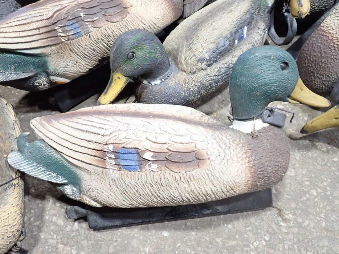 (48+/-) Duck Decoys - 3