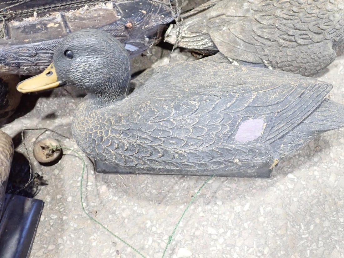 (48+/-) Duck Decoys - 4