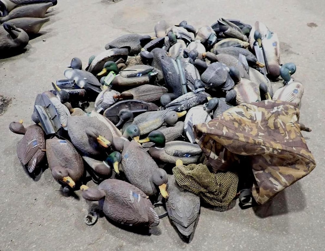 (48+/-) Duck Decoys - 5