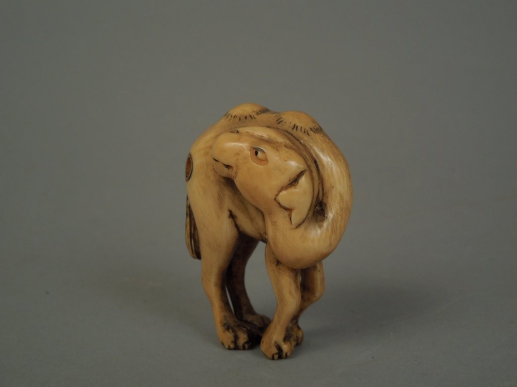 Japanese Signed Netsuke of a Camel: Japanese Signed Netsuke of a camel; measures 1 3/4"
