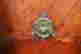 item-14414822=7
