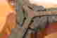 item-14414822=9