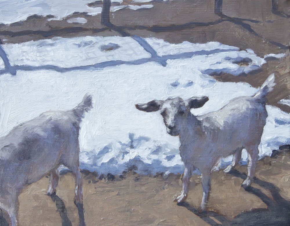 Ken's Neighbor's Goats, by Loren Arsen (1 of 1)