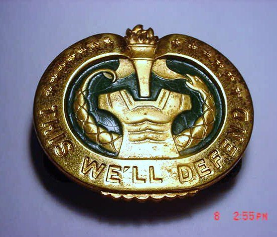 VIET NAM BADGE: VIET NAM BADGE