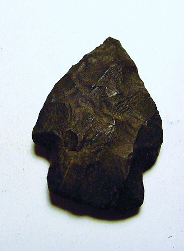 ARROWHEAD: ARROWHEAD