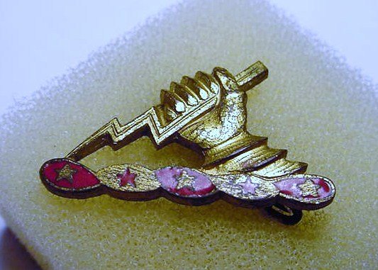 UNUSUAL MILITARY INSIGNIA: UNUSUAL MILITARY INSIGNIA