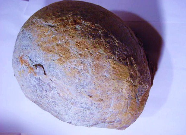 PREHISTORIC DINOSAUR EGG: PREHISTORIC DINOSAUR EGG THE DINOSAUR EGG MEASURES 4.5" X 5" X 6" INCHES