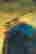 item-51207997=5